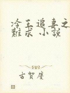 冷王追妻之医妃难求 小说封面