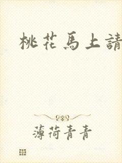 桃花马上请长缨封面