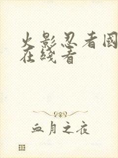 火影忍者国语版在线看