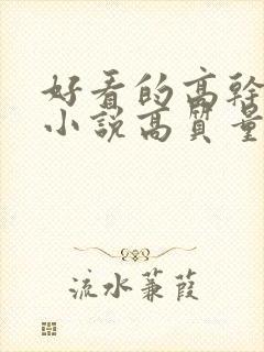 好看的高干言情小说高质量文笔好