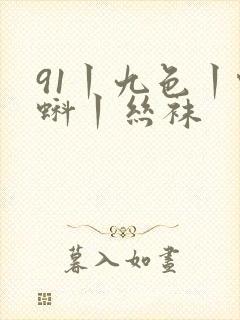 91丨九色丨蝌蚪丨丝袜