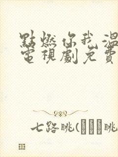 点燃你我温暖你电视剧免费观看