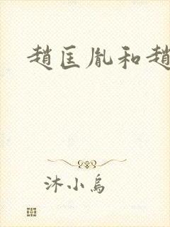 赵匡胤和赵构封面