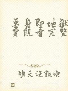 单身即地狱4免费观看完整版封面