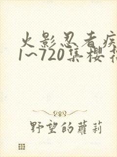 火影忍者疾风传1~720集樱花