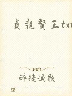 贞观贤王txt
