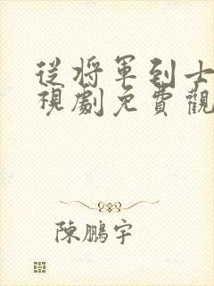 从将军到士兵电视剧免费观看