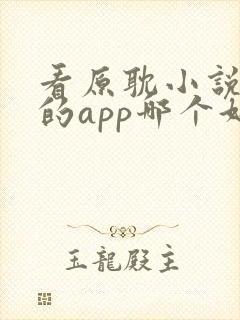 看原耽小说免费的app哪个好封面