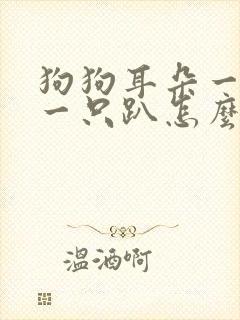 狗狗耳朵一只竖一只趴怎么办