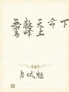 无敌天命下载青鸾峰上