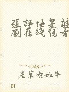 张译他是谁电视剧在线观看全集