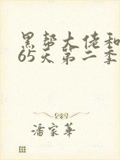 黑帮大佬和我365天第二季封面