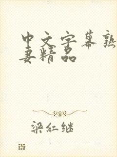 中文字幕熟女人妻精品