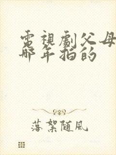 电视剧父母爱情哪年拍的