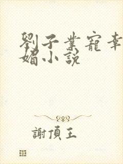 刘子业宠幸刘英媚小说