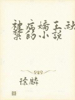 被病娇王秋儿囚禁的小说