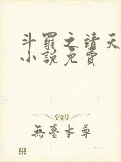 斗罗之靖天斗罗小说免费