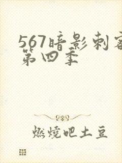 567暗影刺客第四季