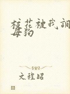 校花被我调教成母狗封面