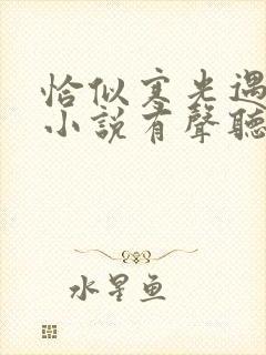 恰似寒光遇骄阳小说有声听书免费