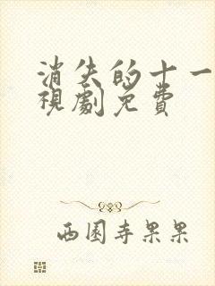 消失的十一层电视剧免费