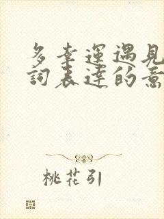 多幸运遇见你歌词表达的意义