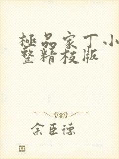极品家丁小说完整精校版