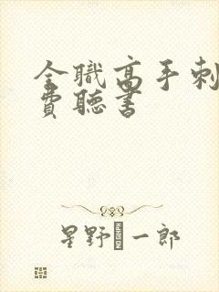 全职高手刺儿免费听书封面