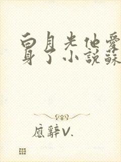 白月光他爱上替身了小说苏以尘