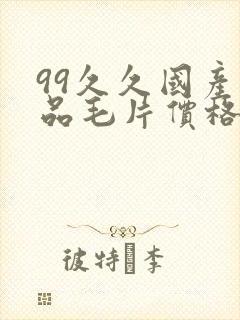 99久久国产精品毛片价格封面