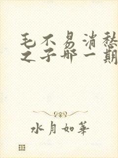 毛不易消愁明日之子哪一期