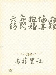 六年抱俩,总裁的闪婚妻短剧封面