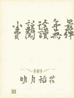 小说徐年最新免费阅读无弹窗全文