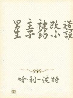 男主被改造囚禁生子的小说封面