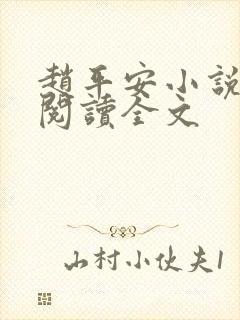 赵平安小说免费阅读全文