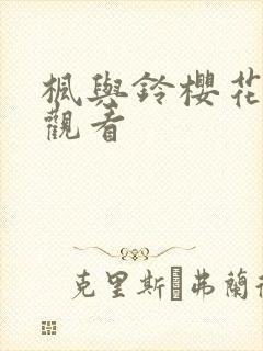 枫与铃樱花在线观看封面