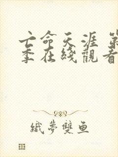 亡命天涯 第3季在线观看全集免费播放