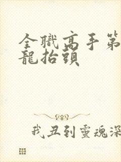 全职高手第一季龙抬头