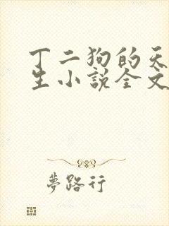 丁二狗的天梯人生小说全文免费阅读