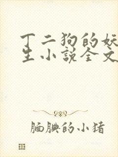 丁二狗的妖孽人生小说全文无删减