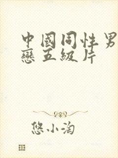 中国同性男同性恋五级片封面