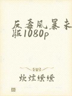 反毒风暴未删减版1080p
