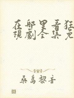 在哪里看狂飙电视剧全集免费播放