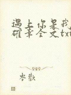 遇上你是我的小确幸全文txt下载