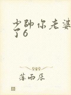 少帅你老婆又跑了6封面