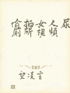 偷拍女人尿尿上厕所视频