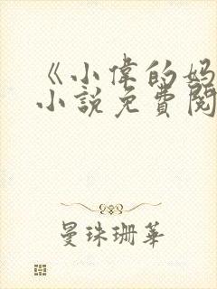 《小伟的妈妈》小说免费阅读