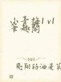 小青梅1 v1笔趣阁