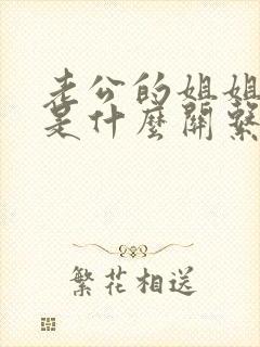 老公的姐姐跟我是什么关系封面