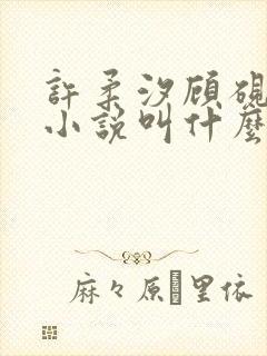 许柔汐顾砚骁的小说叫什么封面